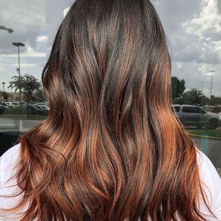 Warm Bronze Hair Color