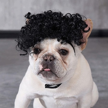 Dog Afro Wig