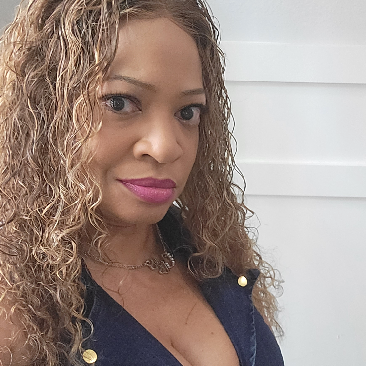 Sun Kissed blonde highlight lace front wig