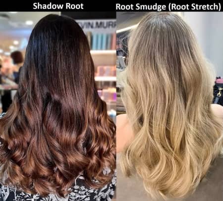 Shadow Root vs. Root Smudge