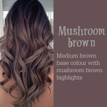 What is mushroom brown hair color?