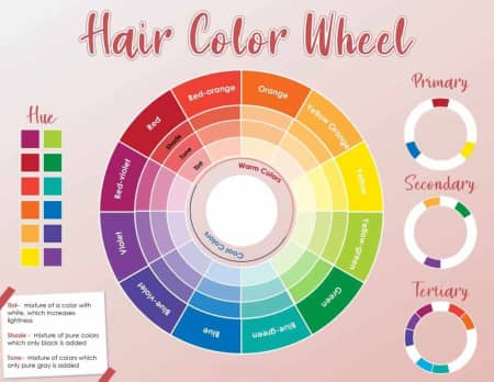 What is the hair color wheel?