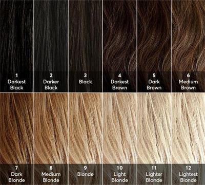 hair colour chart wheel