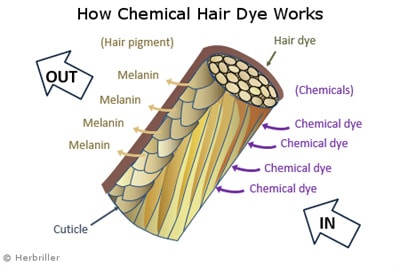 chemicals are in hair dyes