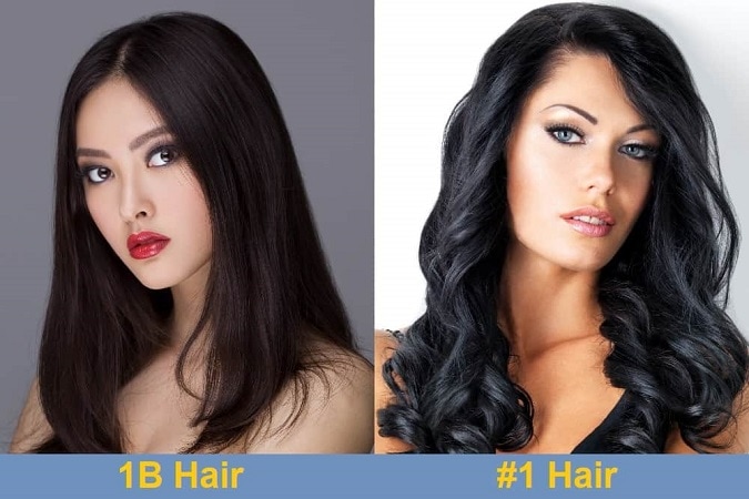 1b vs 2 Hair Color, How to Choose?