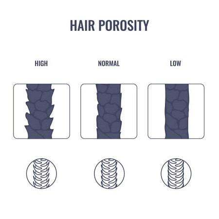 hair-porosity