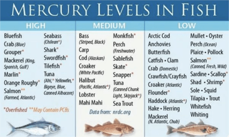 mercury-levels-in-fish