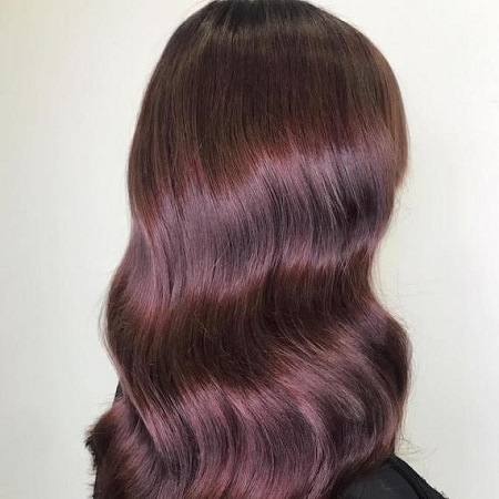 plum brown hair color