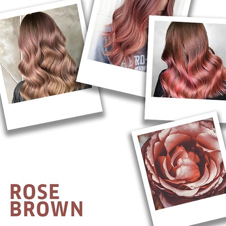 rose brown